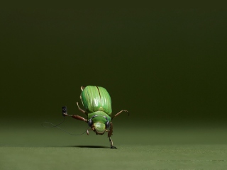 Green Bug screenshot #1 320x240