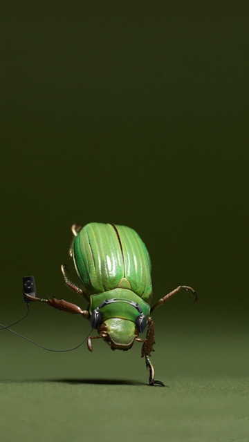 Das Green Bug Wallpaper 360x640