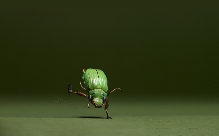 Fondo de pantalla Green Bug