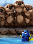 Sfondi Finding Dory 3D Film with Beavers 132x176