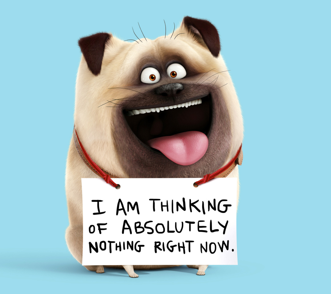 Das Mel from The Secret Life of Pets Wallpaper 1080x960