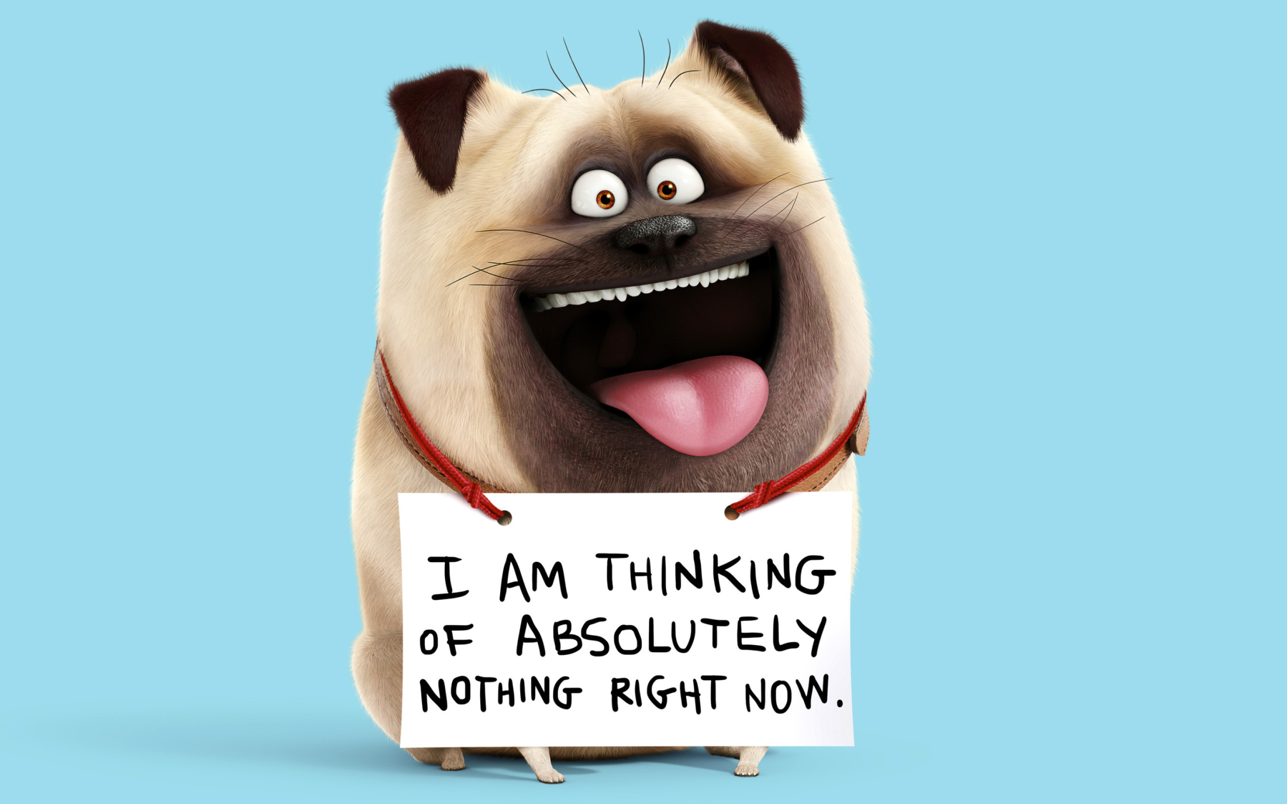 Mel from The Secret Life of Pets wallpaper 2560x1600