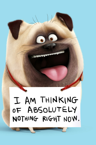 Mel from The Secret Life of Pets wallpaper 320x480