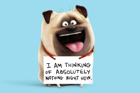 Das Mel from The Secret Life of Pets Wallpaper 480x320