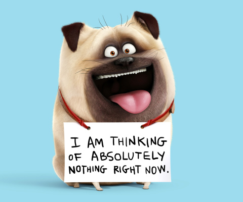 Mel from The Secret Life of Pets wallpaper 480x400