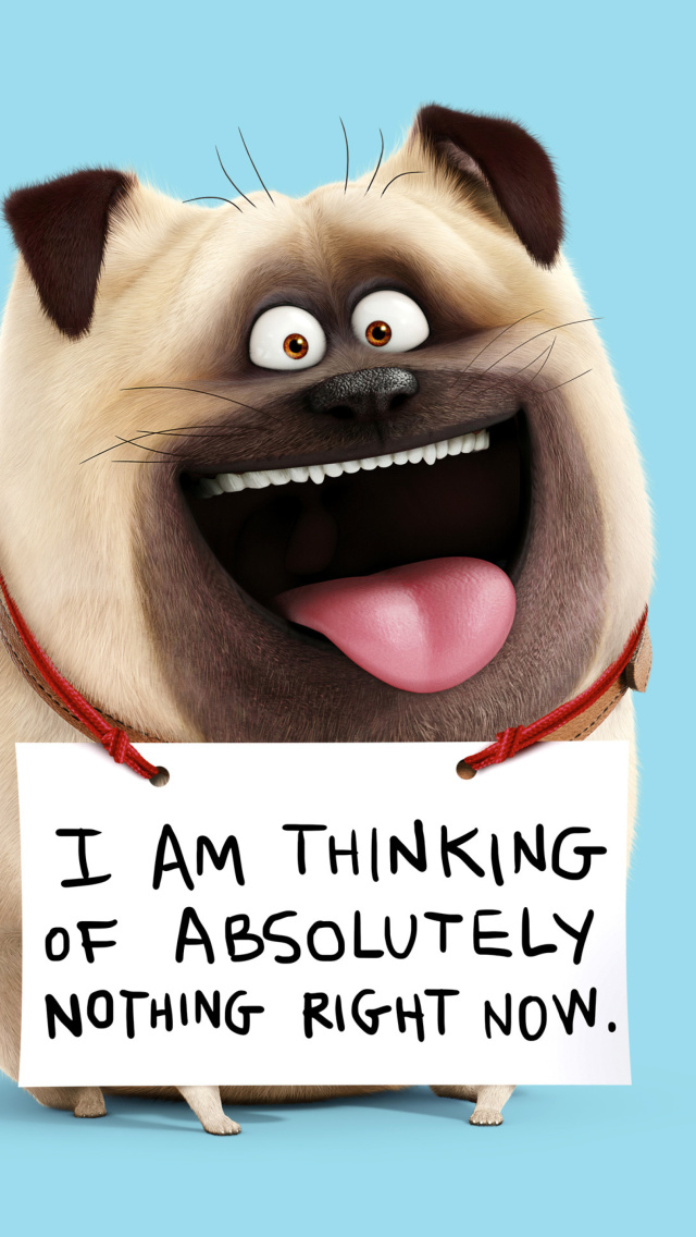 Mel from The Secret Life of Pets wallpaper 640x1136