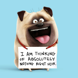 Mel from The Secret Life of Pets - Fondos de pantalla gratis para iPad 2