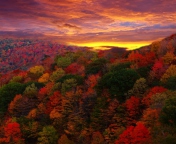Das Autumn Forest At Sunset Wallpaper 176x144