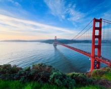 Das San Francisco, Golden gate bridge Wallpaper 220x176