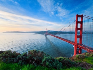 Das San Francisco, Golden gate bridge Wallpaper 320x240