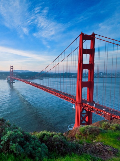 Das San Francisco, Golden gate bridge Wallpaper 480x640