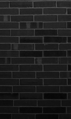Fondo de pantalla Black Brick Wall 240x400