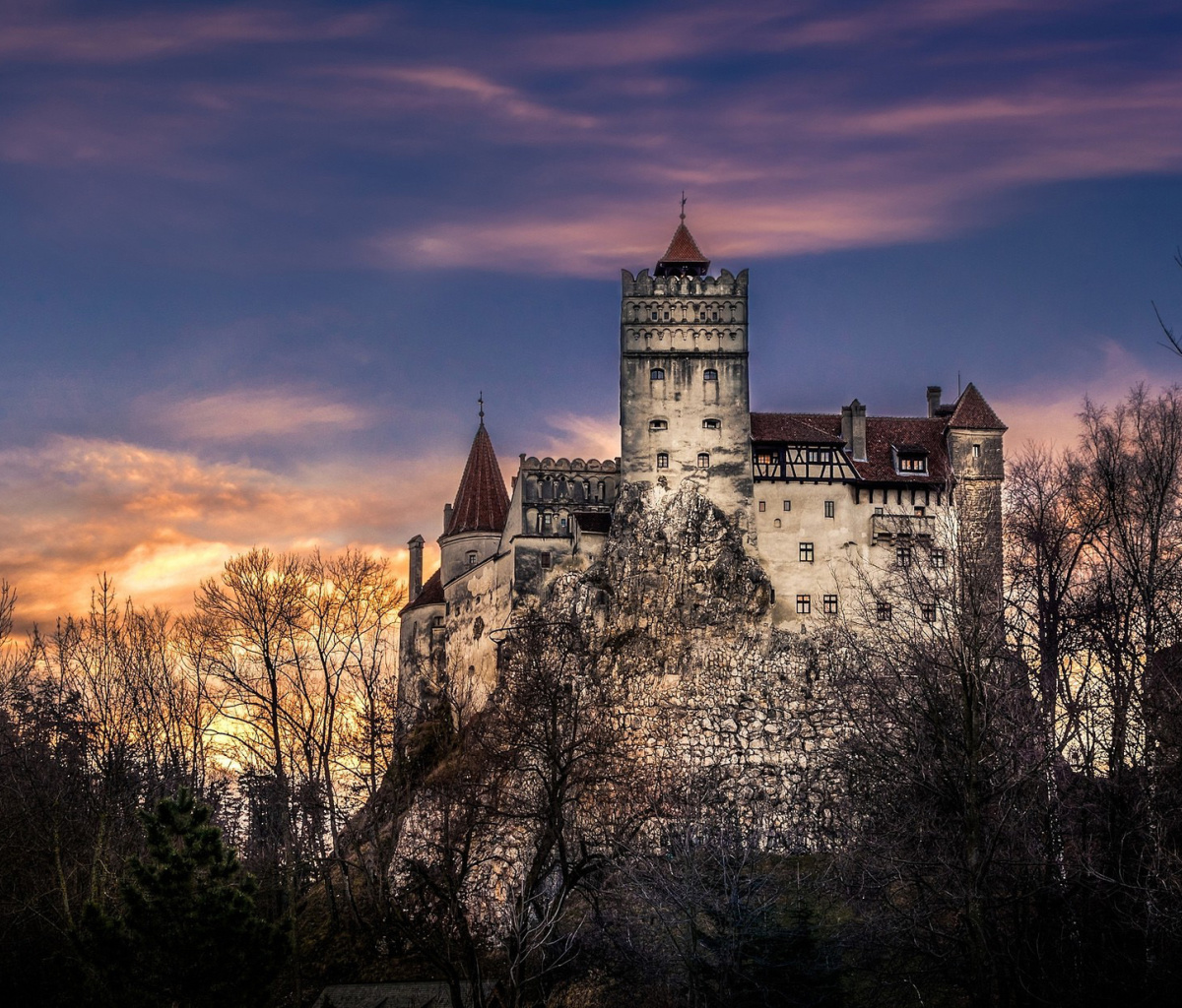 Fondo de pantalla Bran Castle in Romania 1200x1024