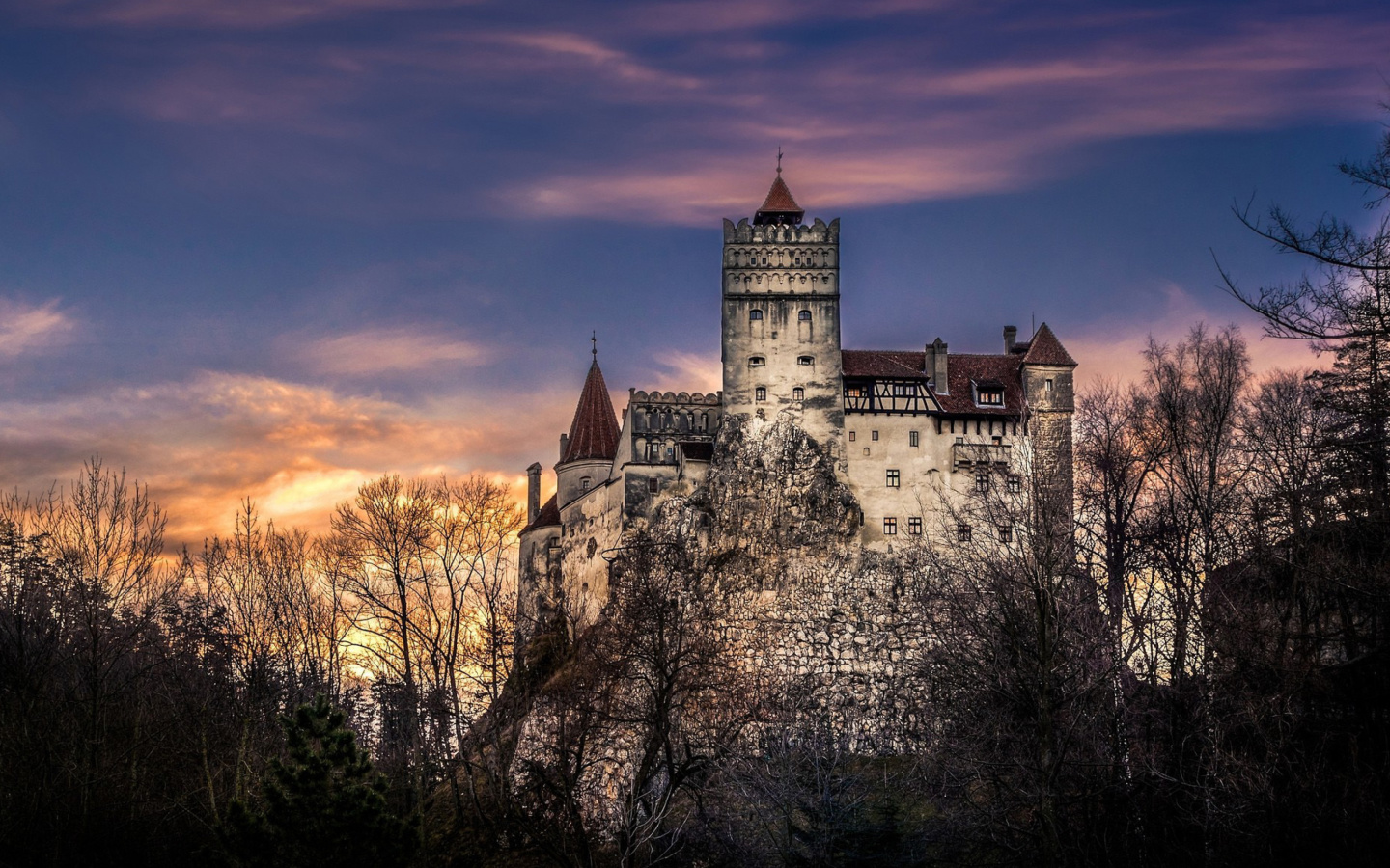 Screenshot №1 pro téma Bran Castle in Romania 1440x900