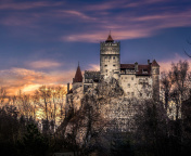 Fondo de pantalla Bran Castle in Romania 176x144