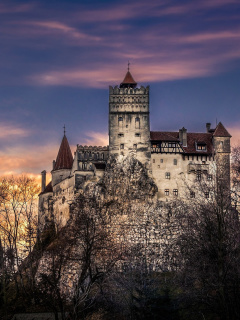 Das Bran Castle in Romania Wallpaper 240x320