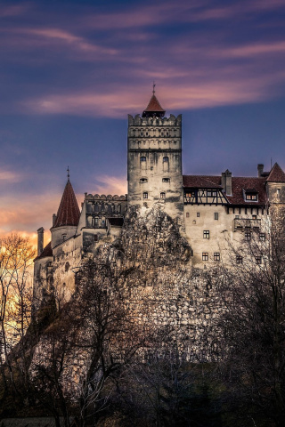 Das Bran Castle in Romania Wallpaper 320x480