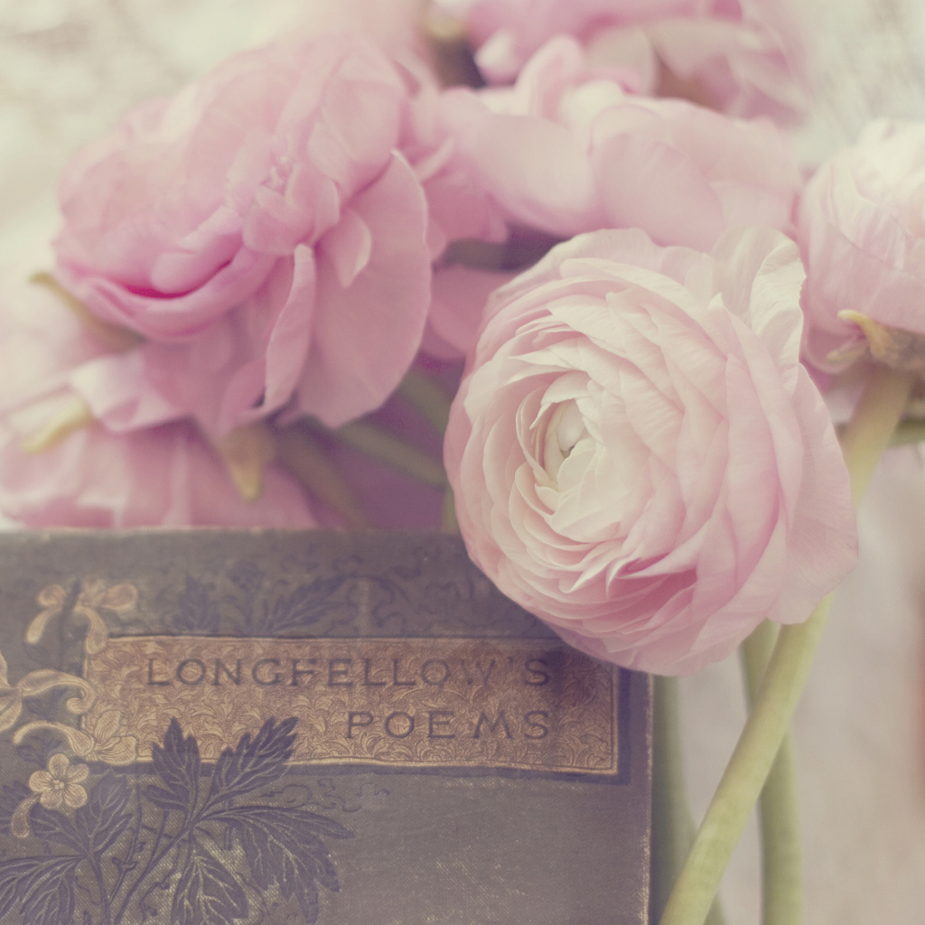 Fondo de pantalla Pink Ranunculus And Vintage Book 1024x1024