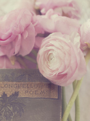 Fondo de pantalla Pink Ranunculus And Vintage Book 132x176