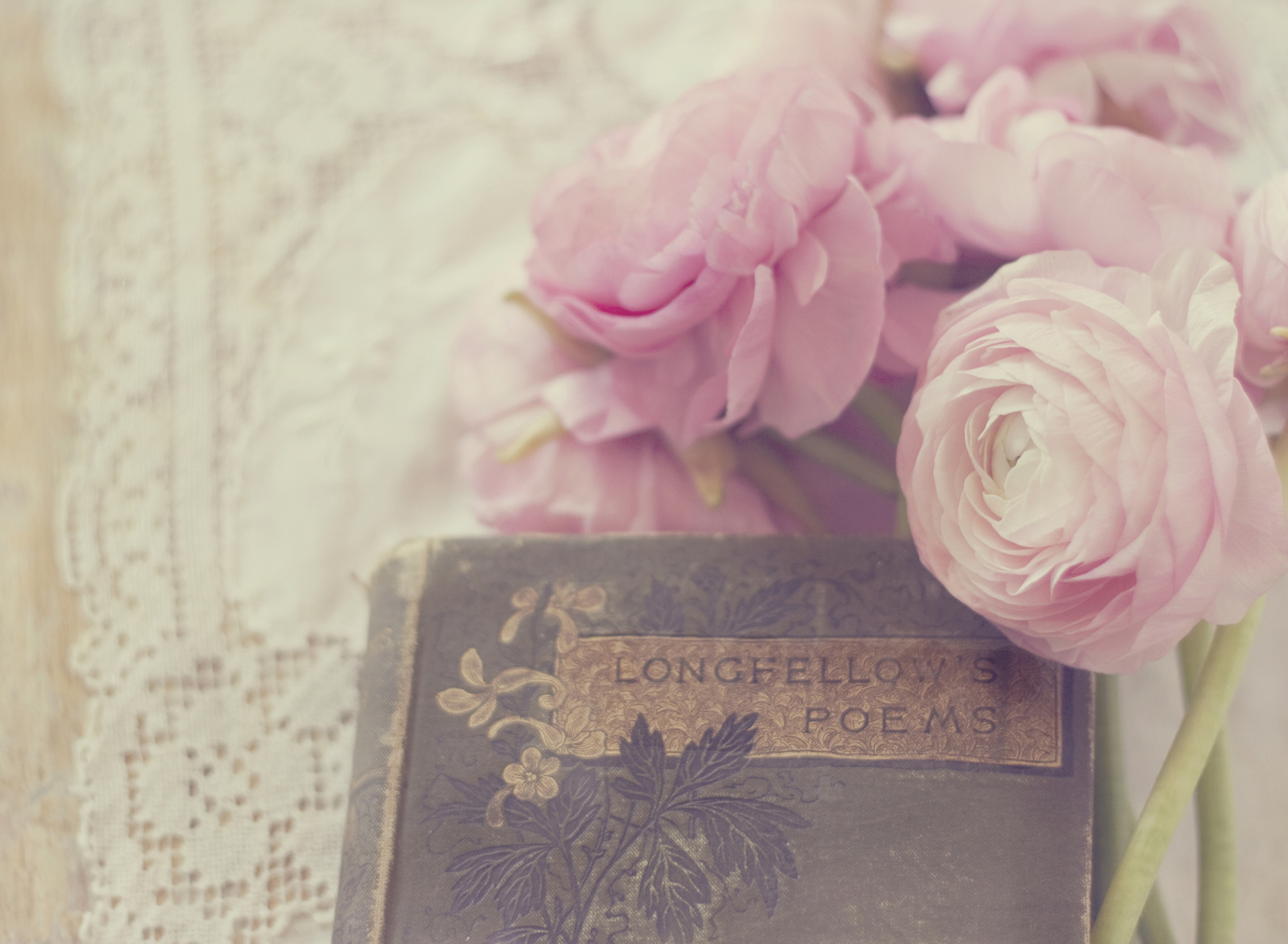 Обои Pink Ranunculus And Vintage Book 1920x1408