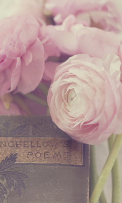 Обои Pink Ranunculus And Vintage Book 240x400