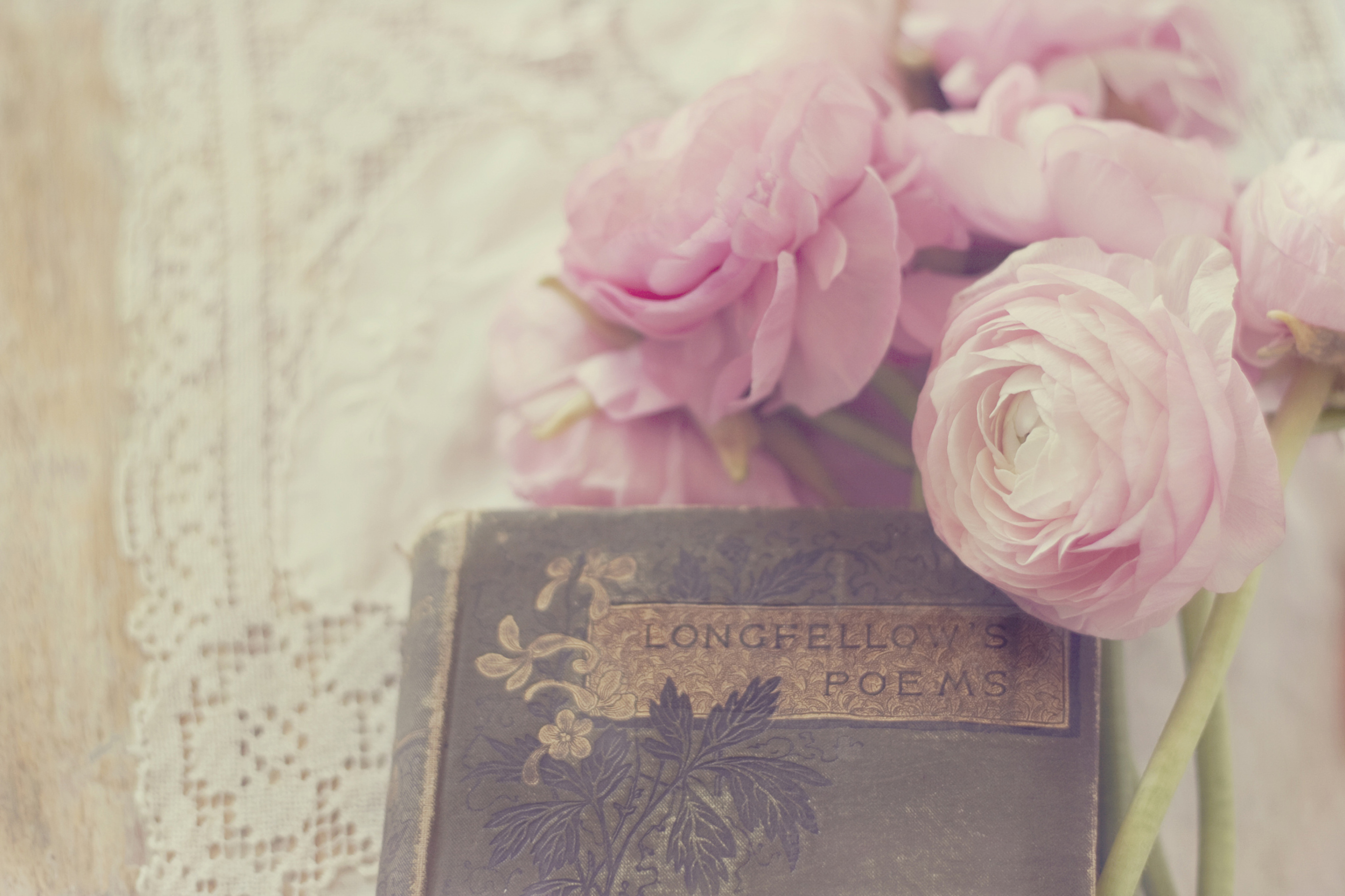 Pink Ranunculus And Vintage Book screenshot #1 2880x1920