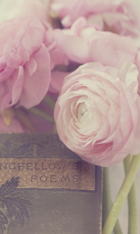 Pink Ranunculus And Vintage Book screenshot #1 480x800