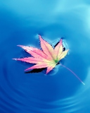 Screenshot №1 pro téma Maple Leaf On Ideal Blue Surface 128x160