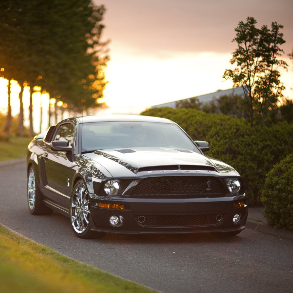 Ford Mustang Shelby GT500KR wallpaper 1024x1024