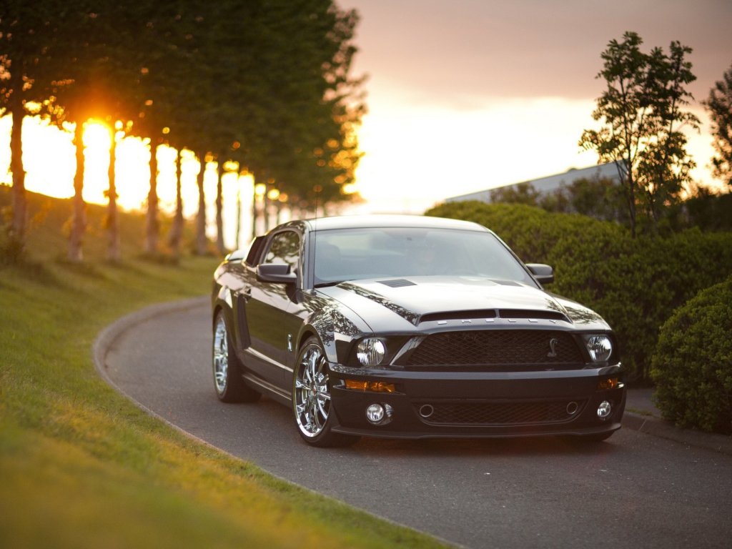 Das Ford Mustang Shelby GT500KR Wallpaper 1024x768