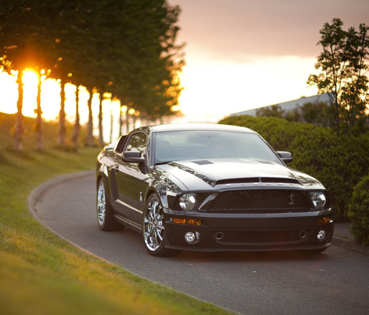 Ford Mustang Shelby GT500KR wallpaper 1200x1024