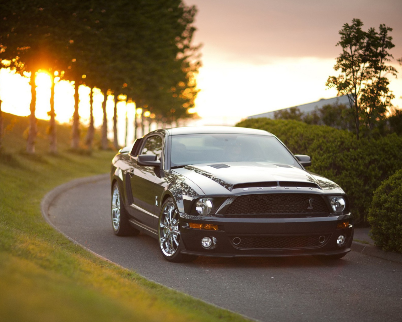 Das Ford Mustang Shelby GT500KR Wallpaper 1280x1024