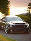 Ford Mustang Shelby GT500KR wallpaper 132x176