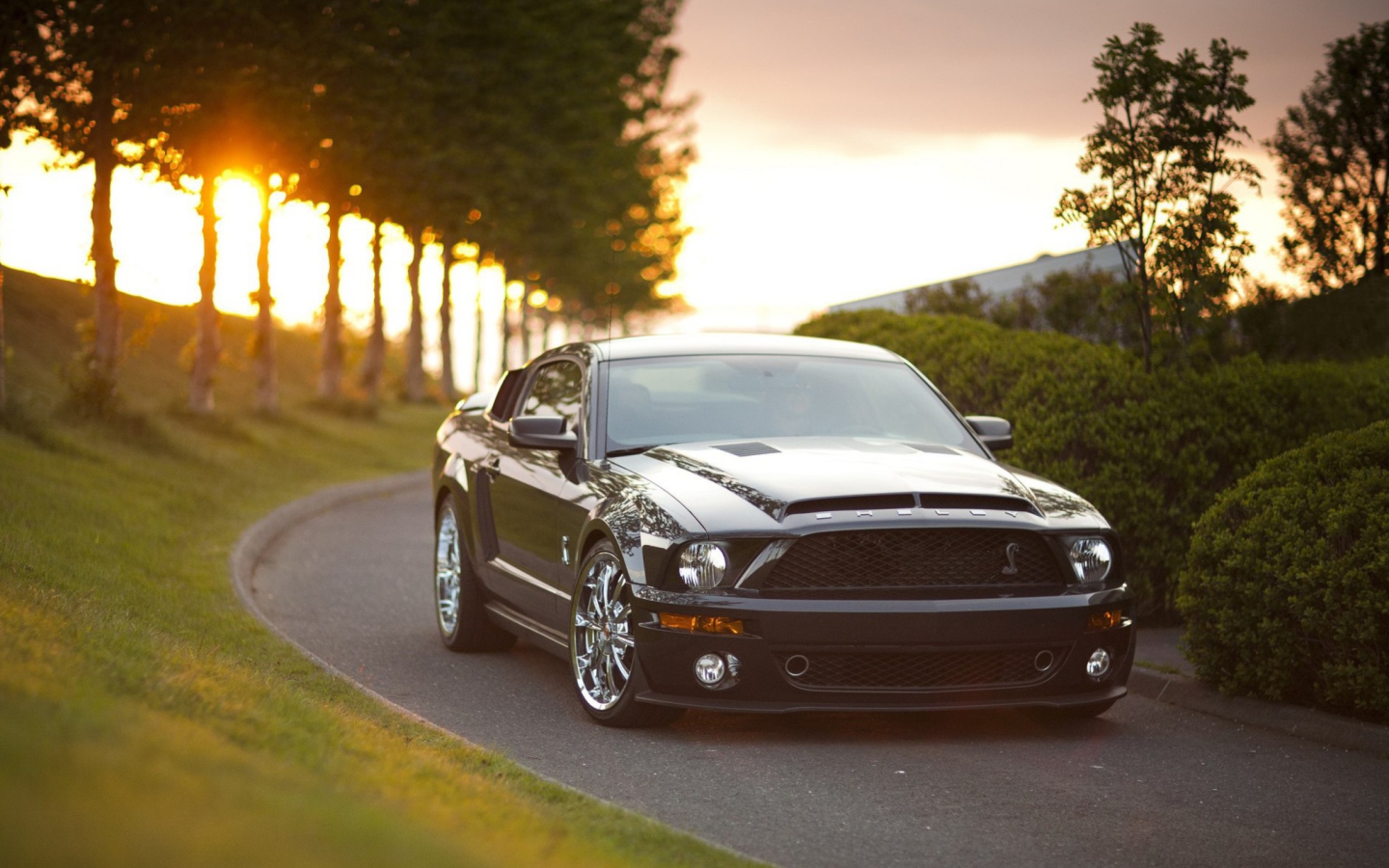 Ford Mustang Shelby GT500KR wallpaper 1440x900