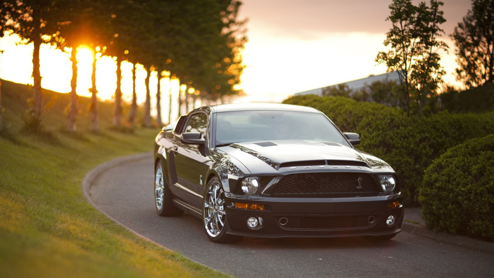 Ford Mustang Shelby GT500KR wallpaper 1600x900