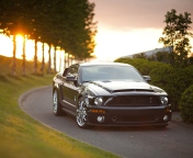 Ford Mustang Shelby GT500KR wallpaper 176x144