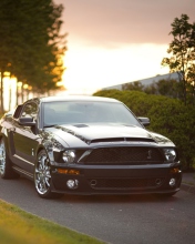 Ford Mustang Shelby GT500KR wallpaper 176x220