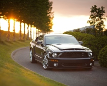 Ford Mustang Shelby GT500KR wallpaper 220x176