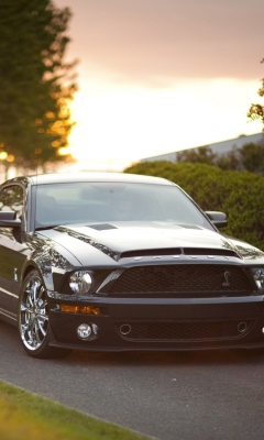 Ford Mustang Shelby GT500KR wallpaper 240x400
