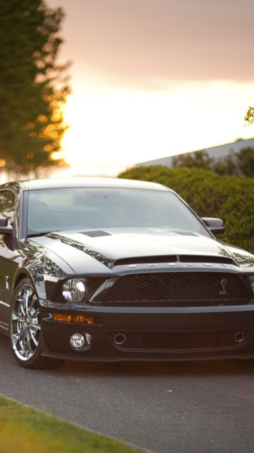 Ford Mustang Shelby GT500KR wallpaper 360x640