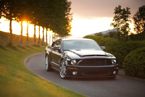 Ford Mustang Shelby GT500KR wallpaper 480x320