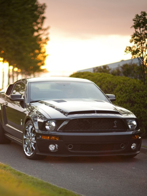 Ford Mustang Shelby GT500KR wallpaper 480x640