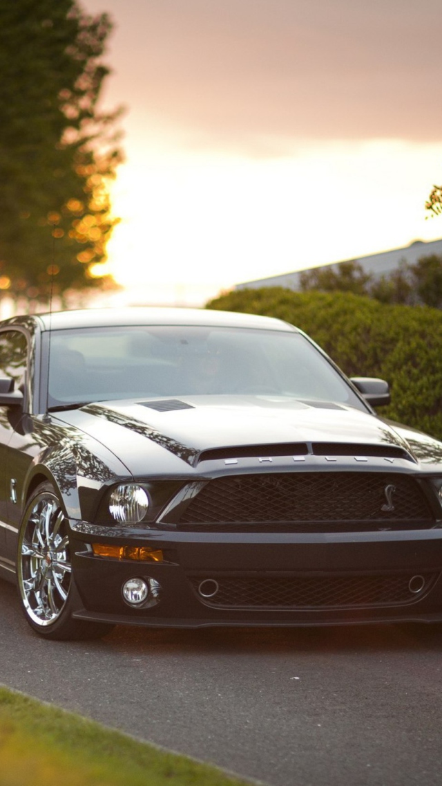 Ford Mustang Shelby GT500KR wallpaper 640x1136