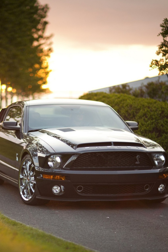 Обои Ford Mustang Shelby GT500KR 640x960