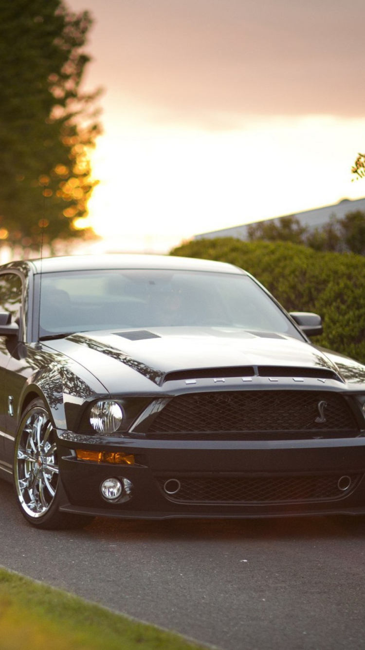 Ford Mustang Shelby GT500KR wallpaper 750x1334