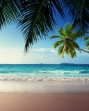 Обои Sunshine in Tropics 128x160