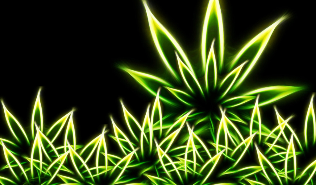 Screenshot №1 pro téma Marijuana 1024x600