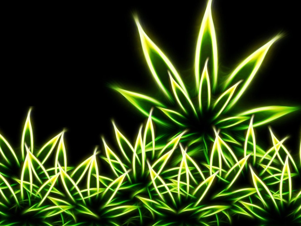 Das Marijuana Wallpaper 1024x768