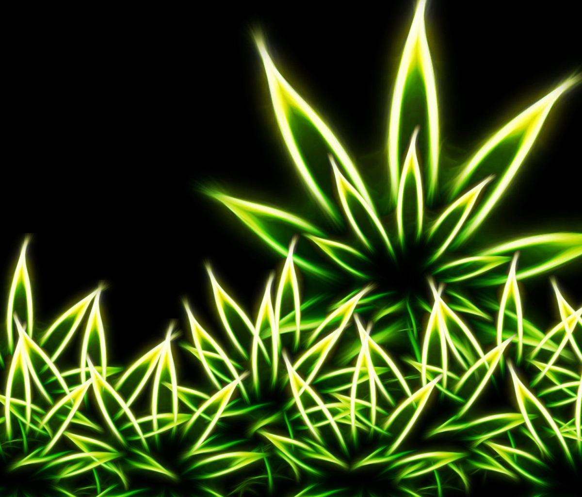 Marijuana wallpaper 1200x1024