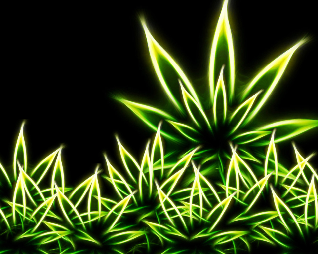 Fondo de pantalla Marijuana 1280x1024
